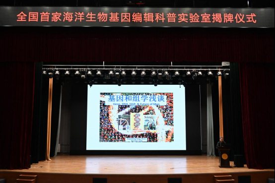 图片6
